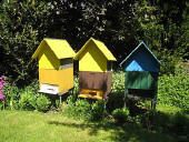 Bienenhaus Beute Magazin Bienenstock Bienenbeute